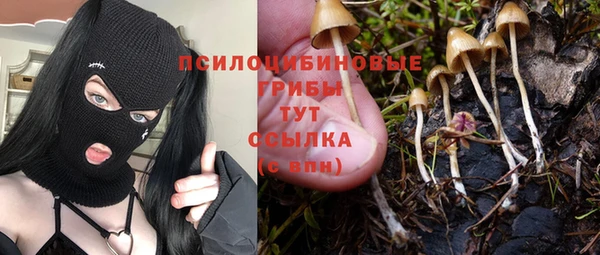 синтетический гашиш Абдулино